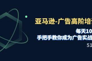 （7739期）亚马逊-广告高阶培训班，每天10分钟，手把手教你成为广告实战高手（51节）