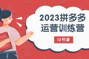 （7805期）2023拼多多运营训练营：流量底层逻辑，免费+付费流量玩法（12节课）