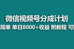 （7904期）【蓝海项目】视频号分成计划，单天收益8000+，附玩法教程！可陪跑