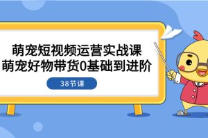 （7915期）萌宠·短视频运营实战课：萌宠好物带货0基础到进阶（38节课）