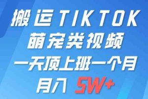 （9931期）一键搬运TIKTOK萌宠类视频 一部手机即可操作 所有平台均可发布 轻松月入5W+