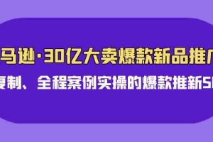 （9944期）亚马逊30亿·大卖爆款新品推广，可复制、全程案例实操的爆款推新SOP